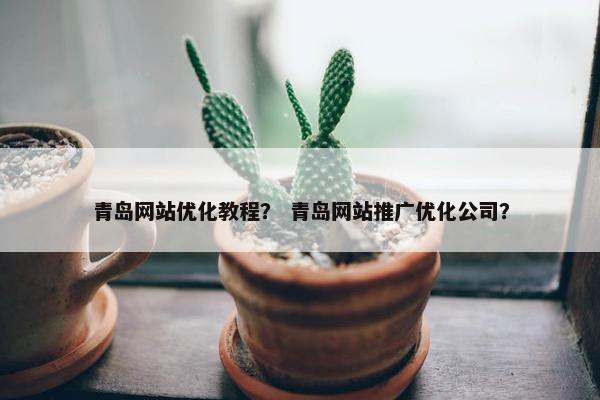 青岛网站优化教程？ 青岛网站推广优化公司？