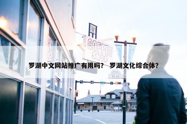 罗湖中文网站推广有用吗？ 罗湖文化综合体？