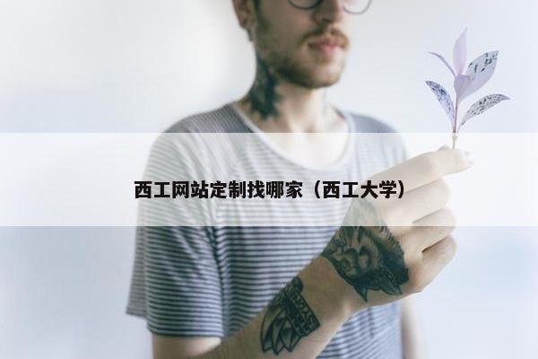 西工网站定制找哪家（西工大学）