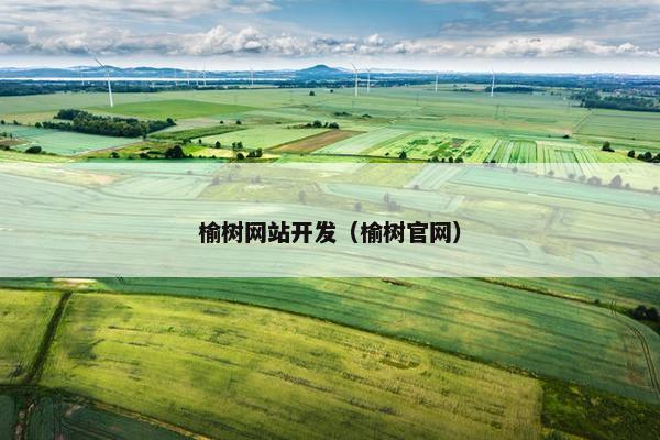 榆树网站开发（榆树官网）
