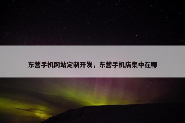 东营手机网站定制开发，东营手机店集中在哪