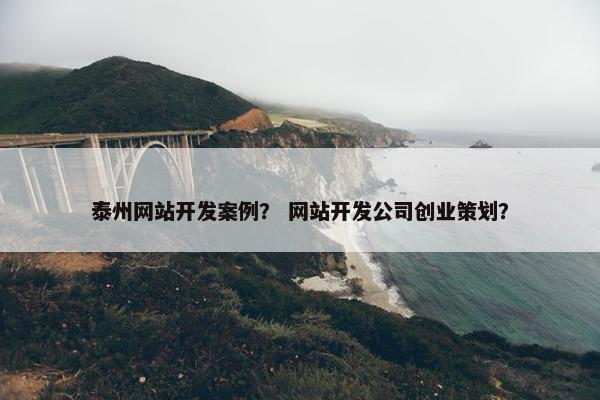 泰州网站开发案例？ 网站开发公司创业策划？