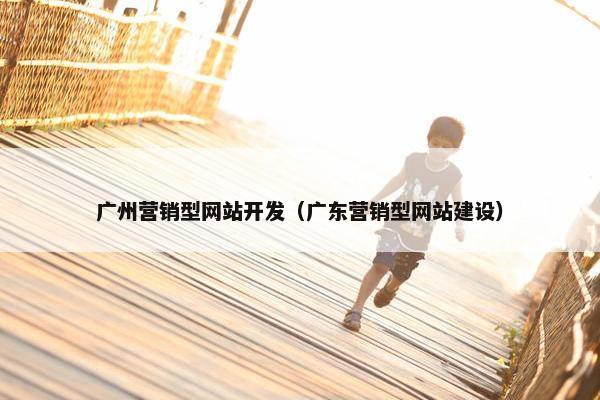 广州营销型网站开发（广东营销型网站建设）