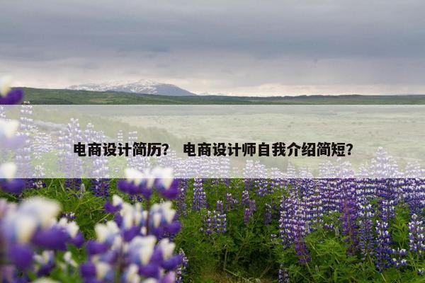 电商设计简历？ 电商设计师自我介绍简短？