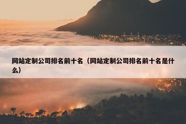 网站定制公司排名前十名（网站定制公司排名前十名是什么）
