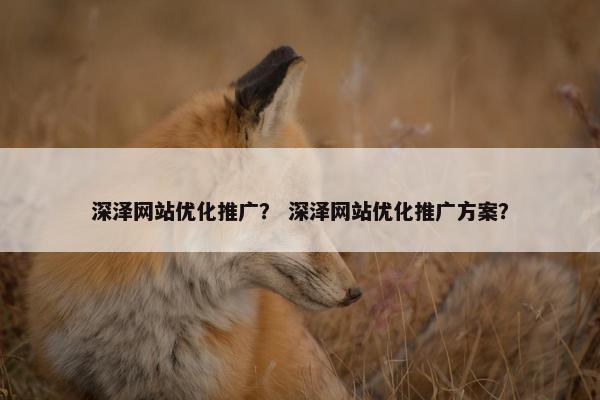 深泽网站优化推广？ 深泽网站优化推广方案？