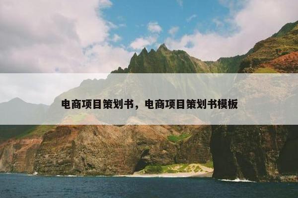电商项目策划书，电商项目策划书模板