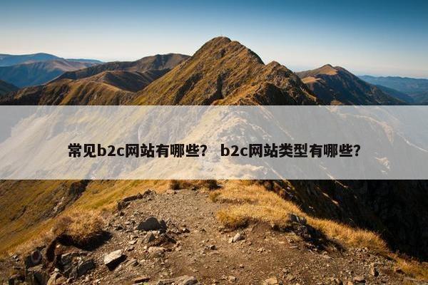 常见b2c网站有哪些？ b2c网站类型有哪些？