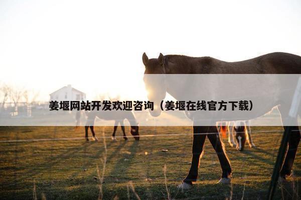 姜堰网站开发欢迎咨询（姜堰在线官方下载）