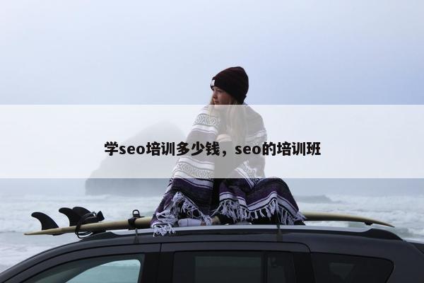 学seo培训多少钱，seo的培训班