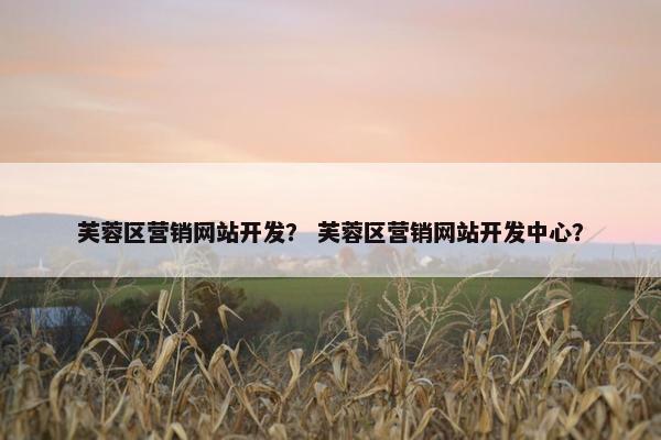 芙蓉区营销网站开发？ 芙蓉区营销网站开发中心？