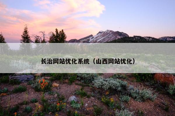 长治网站优化系统（山西网站优化）