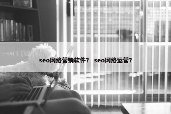 seo网络营销软件？ seo网络运营？