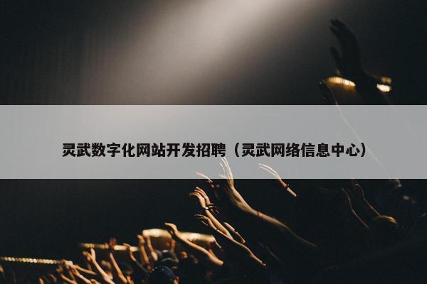 灵武数字化网站开发招聘（灵武网络信息中心）