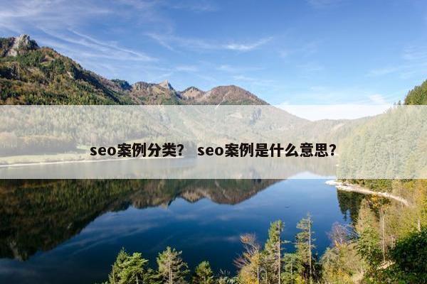 seo案例分类？ seo案例是什么意思？