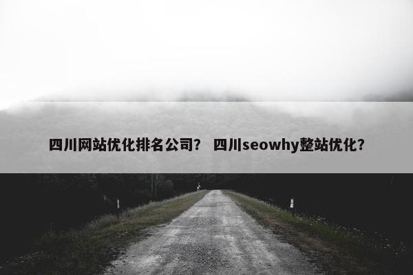 四川网站优化排名公司？ 四川seowhy整站优化？