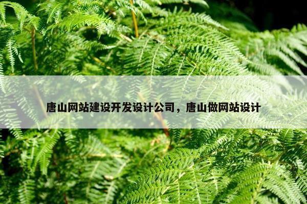 唐山网站建设开发设计公司，唐山做网站设计
