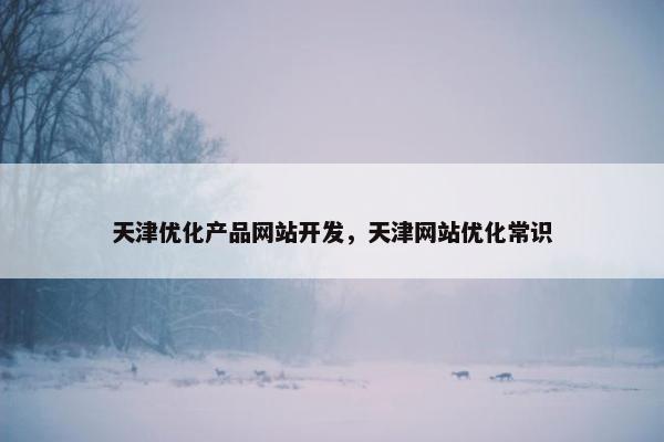 天津优化产品网站开发，天津网站优化常识