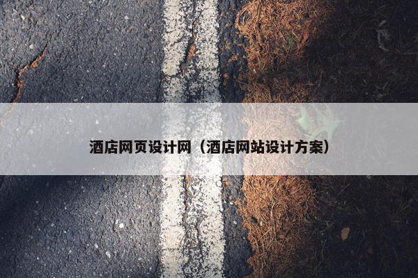 酒店网页设计网（酒店网站设计方案）