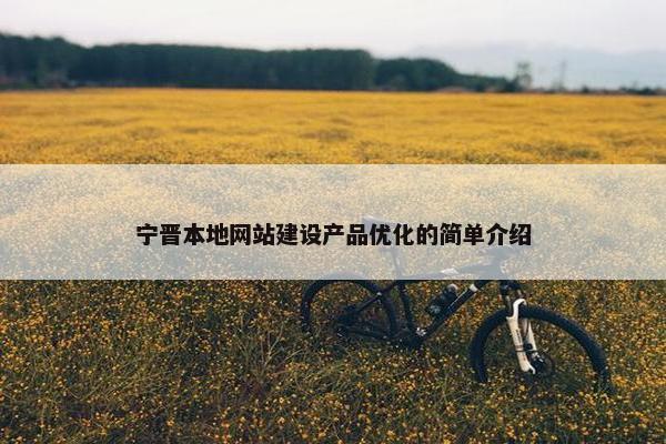 宁晋本地网站建设产品优化的简单介绍