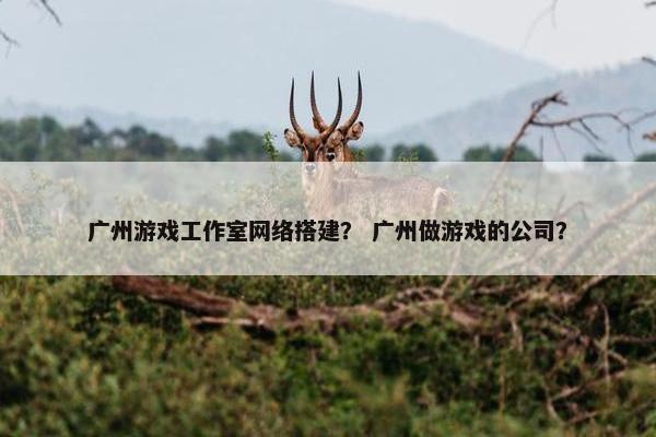 广州游戏工作室网络搭建？ 广州做游戏的公司？