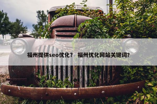 福州提供seo优化？ 福州优化网站关键词？