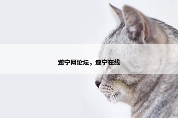 遂宁网论坛，遂宁在线