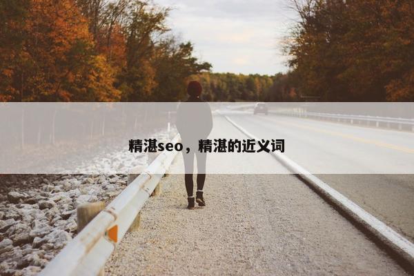 精湛seo，精湛的近义词