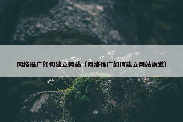 网络推广如何建立网站（网络推广如何建立网站渠道）