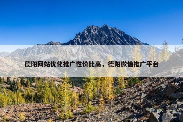 德阳网站优化推广性价比高，德阳微信推广平台