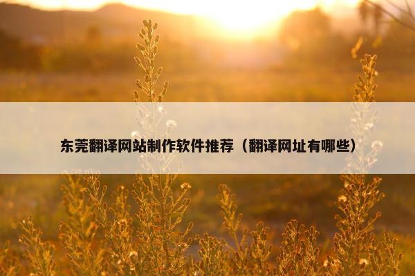 东莞翻译网站制作软件推荐（翻译网址有哪些）