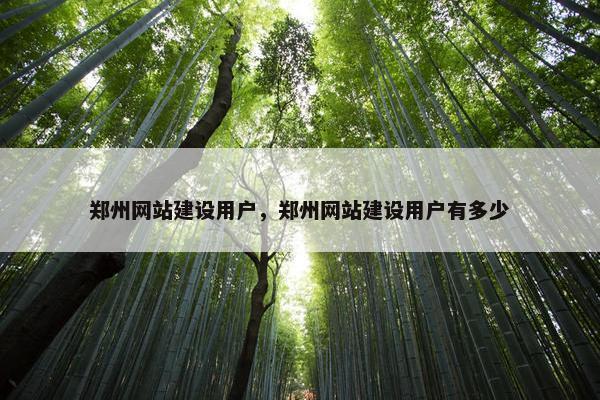 郑州网站建设用户，郑州网站建设用户有多少