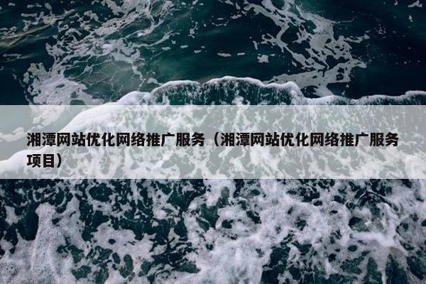 湘潭网站优化网络推广服务（湘潭网站优化网络推广服务项目）