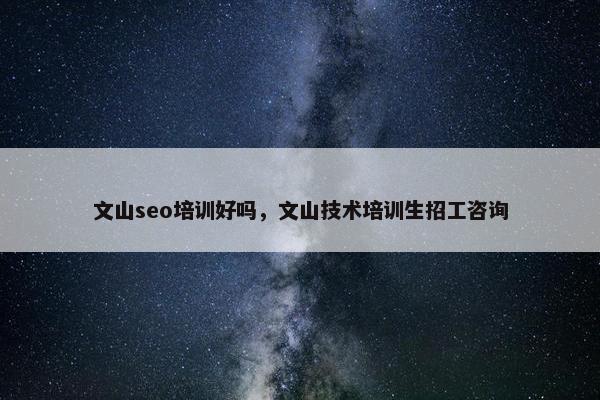 文山seo培训好吗，文山技术培训生招工咨询