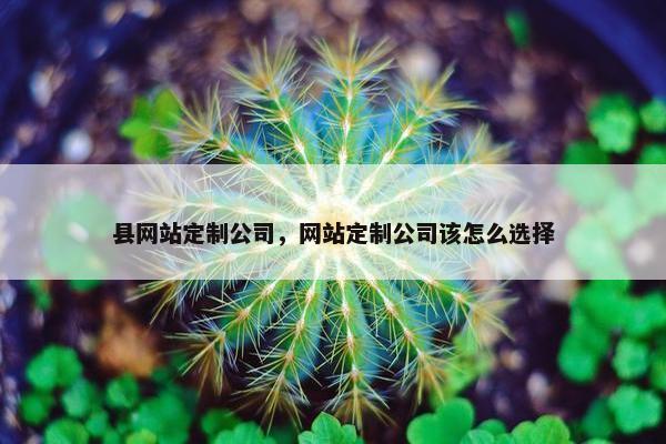 县网站定制公司，网站定制公司该怎么选择