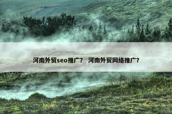 河南外贸seo推广？ 河南外贸网络推广？