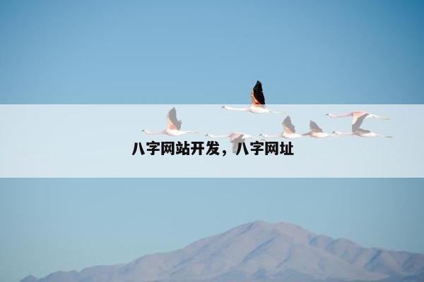 八字网站开发，八字网址