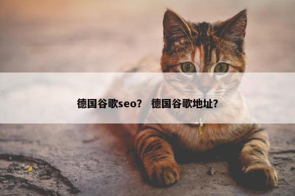 德国谷歌seo？ 德国谷歌地址？