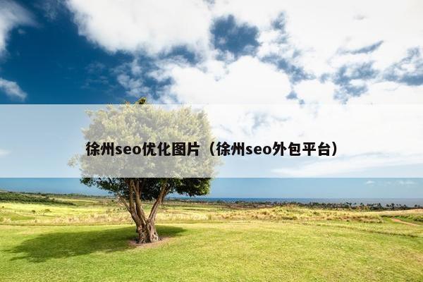 徐州seo优化图片（徐州seo外包平台）