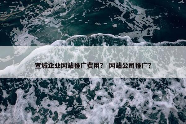 宣城企业网站推广费用？ 网站公司推广？