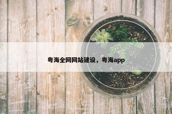 粤海全网网站建设，粤海app