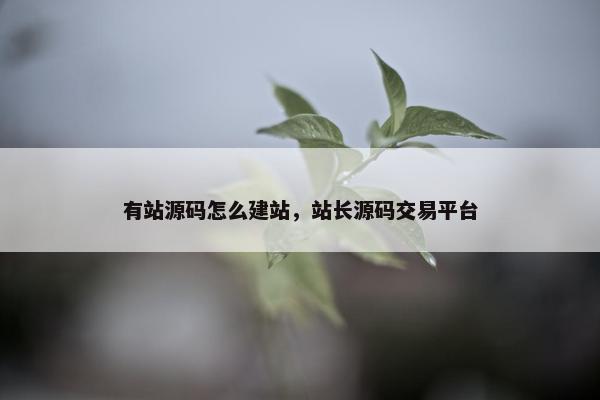 有站源码怎么建站，站长源码交易平台
