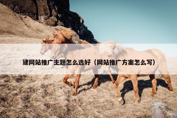 建网站推广主题怎么选好（网站推广方案怎么写）