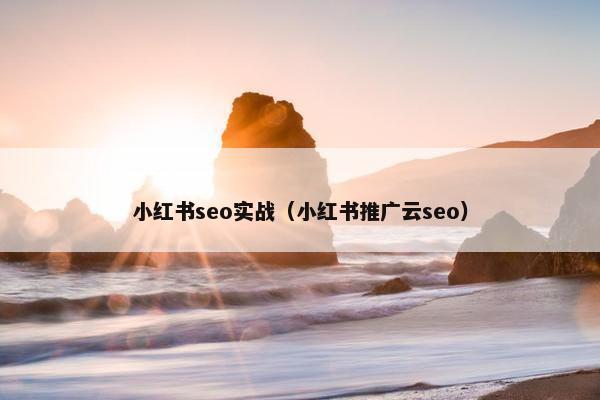 小红书seo实战（小红书推广云seo）