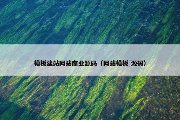模板建站网站商业源码（网站模板 源码）