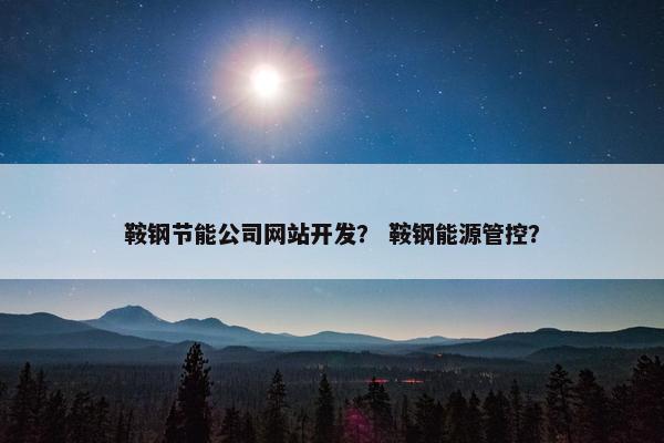 鞍钢节能公司网站开发？ 鞍钢能源管控？