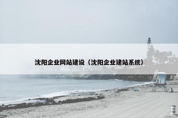 沈阳企业网站建设（沈阳企业建站系统）