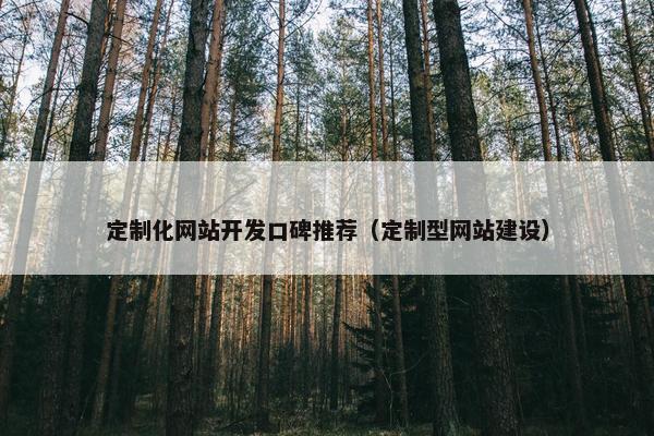 定制化网站开发口碑推荐（定制型网站建设）
