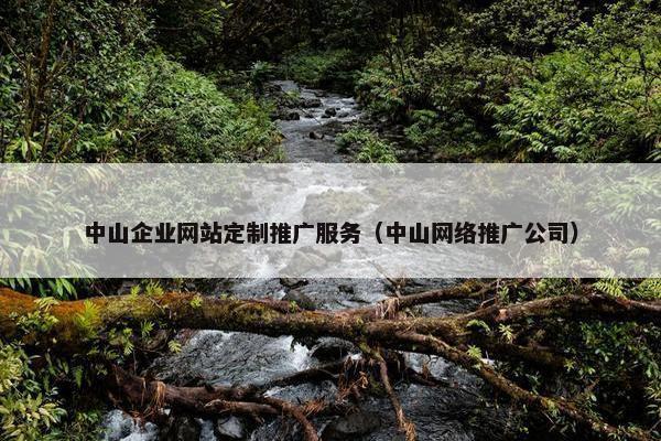 中山企业网站定制推广服务（中山网络推广公司）