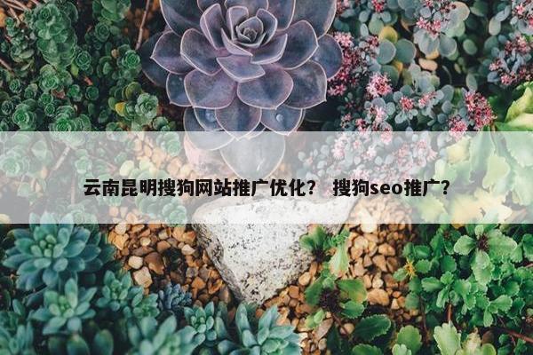 云南昆明搜狗网站推广优化？ 搜狗seo推广？